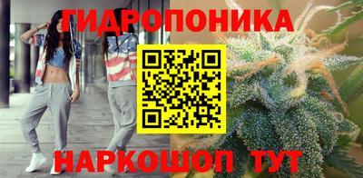 шишки Краснодар