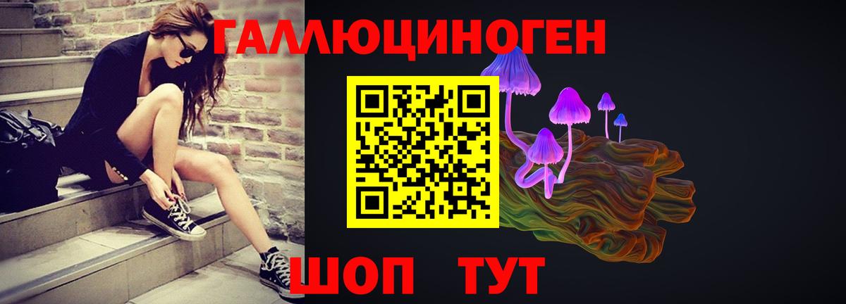 Канаш  Галлюциногенные грибы мицелий  Вход с VPN 